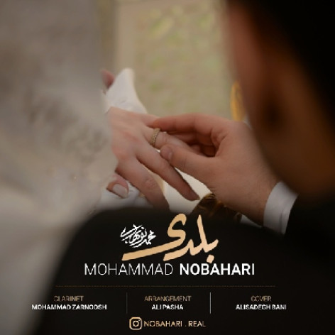 دانلود آهنگ محمد نوبهاری بلدی دانلود آهنگ محمد نوبهاری بلدی