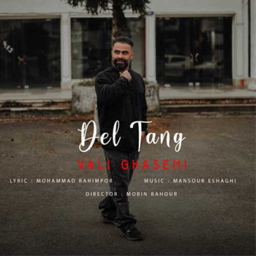 آهنگ مازندرانی دلتنگ با صدای ولی قاسمی