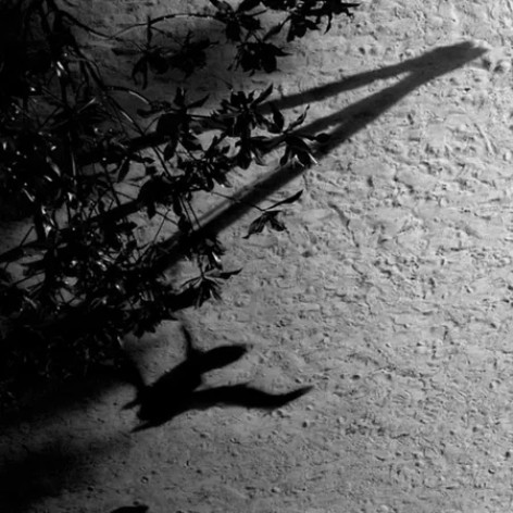 دانلود آهنگ on the nature of daylight همراه با متن دانلود آهنگ on the nature of daylight همراه با متن