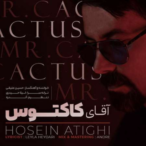 دانلود آهنگ حسین عتیقی آقای کاکتوس همراه با متن