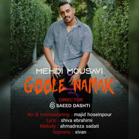 دانلود آهنگ مهدی موسوی گوله نمک همراه با متن دانلود آهنگ مهدی موسوی گوله نمک همراه با متن