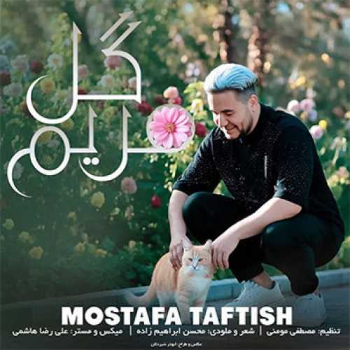آهنگ مازندرانی گل مریم با صدای مصطفی تفتیش