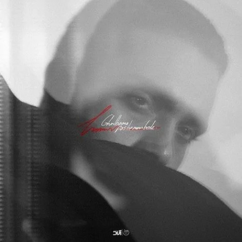 دانلود آهنگ حامیم قلبمو پس به من بده همراه با متن