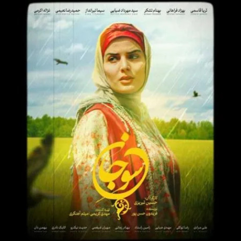 دانلود آهنگ حامد آئین سوجان همراه با متن